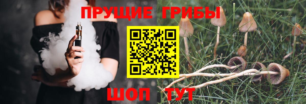 Псилоцибиновые грибы прущие грибы  Галлюциногенные грибы Magic Shrooms  Вход с VPN  Острогожск 